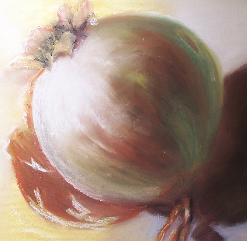 Onion, a still life pastel painting by Deb Ward